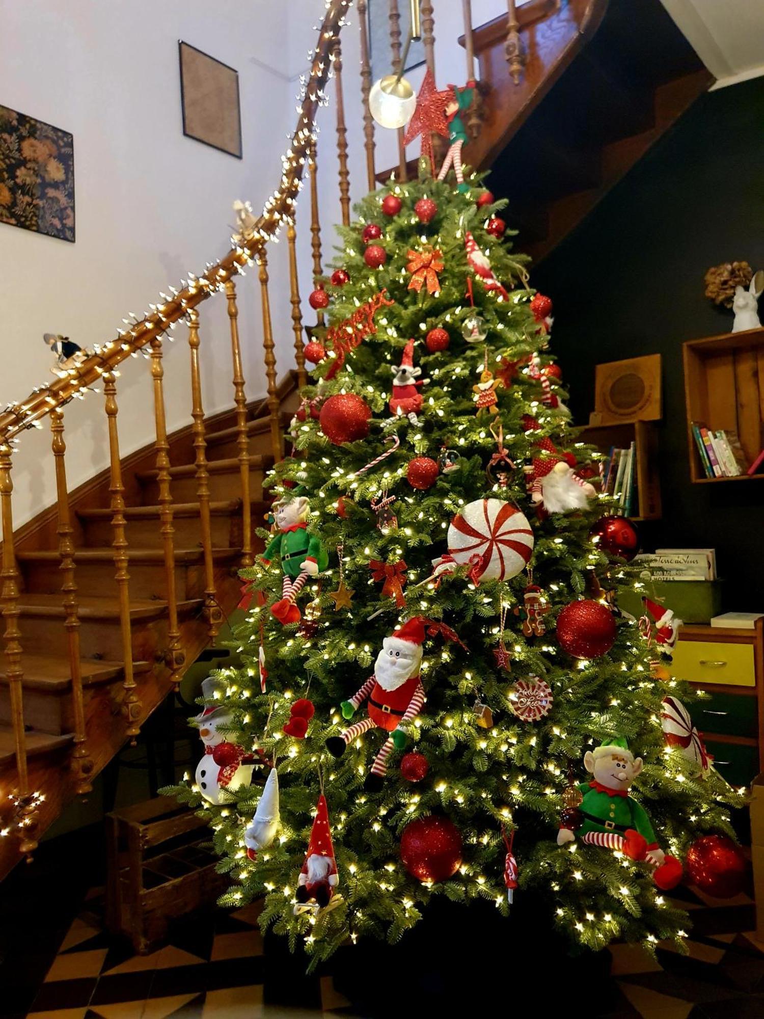 Sojolidays - Appartements D'Hotes Sur La Route Des Vins D'Alsace Rorschwihr Esterno foto